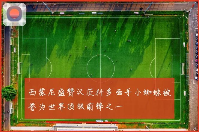 西蒙尼盛赞汉茨科多面手小蜘蛛被誉为世界顶级前锋之一